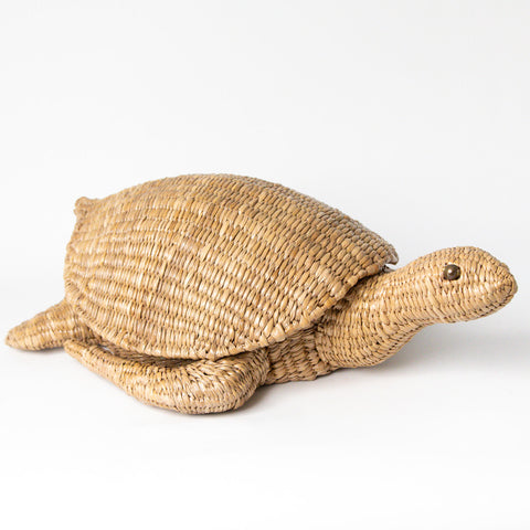 TURTLE TRUNK BY MARIO LOPEZ TORRES