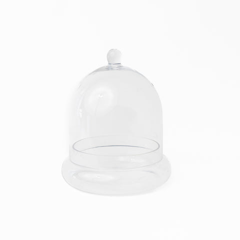 TERRARIUM CLOCHE