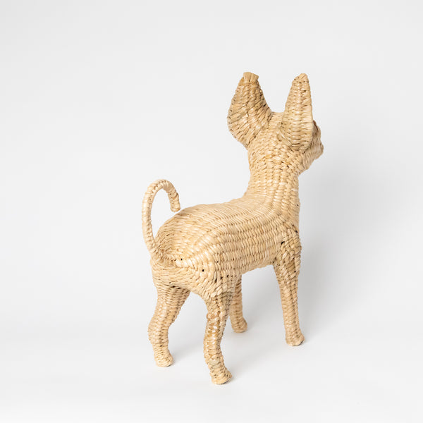 CHIHUAHUA BY MARIO LOPEZ TORRES