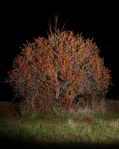 COLOR PHOTOGRAPH, "UNTITLED #6", A NIGHT CONTEMPLATION SERIES BY DANELLE MANTHEY