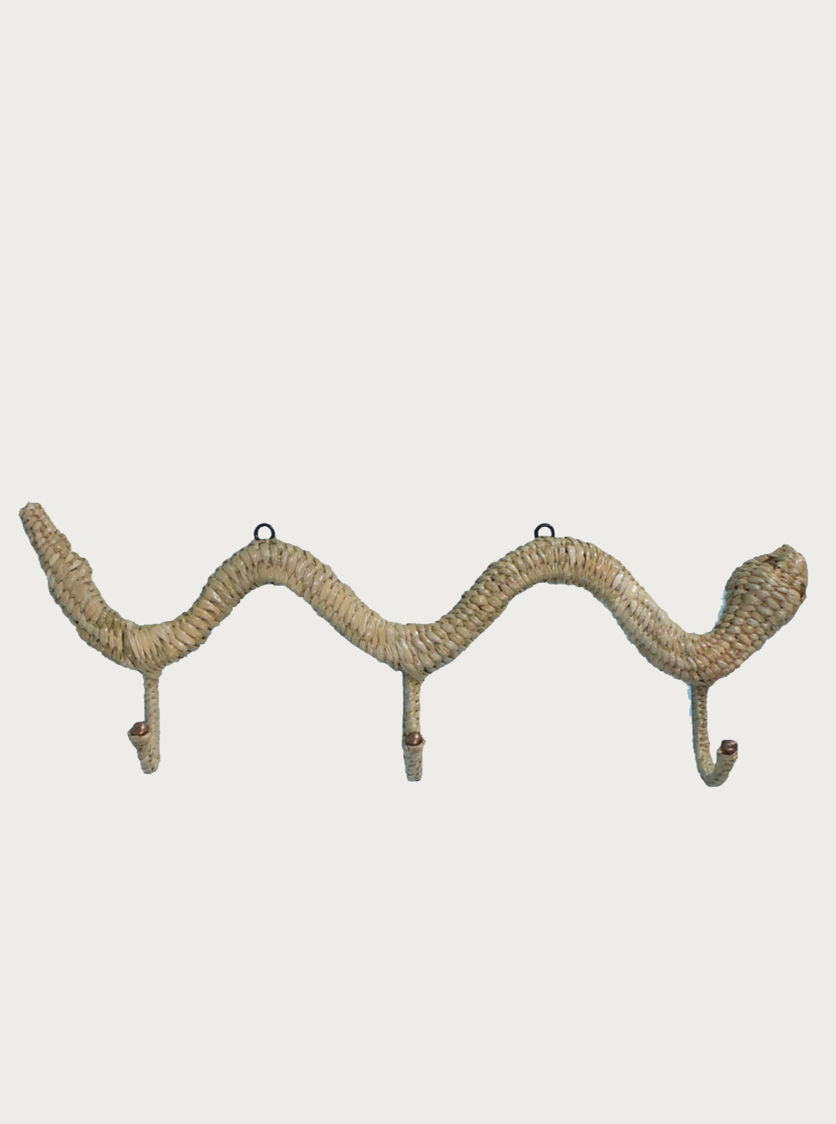 SNAKE COAT HANGER BY MARIO LOPEZ TORRES